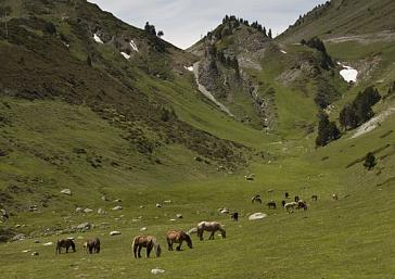 Alt Pirineu Natural Park