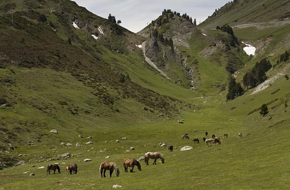 Parc Natural de l'Alt Pirineu