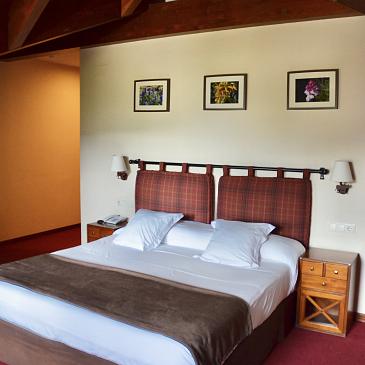 Junior Suite Bonaigua